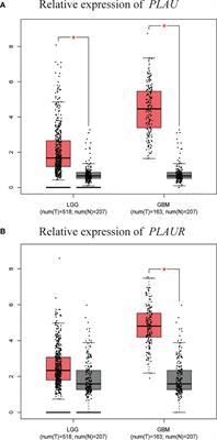 Prognostic Significance and Gene Co-Expression Network of PLAU and PLAUR in Gliomas